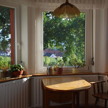 Apartmán Rotes Haus Ueber Den Weinbergen Kostnice Exteriér fotografie